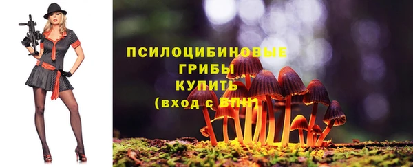 apvp Алексеевка